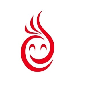 中国动漫集团有限公司logo